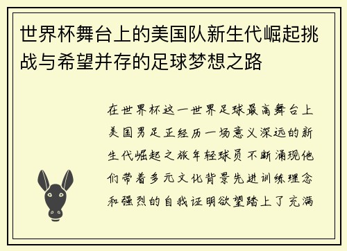 世界杯舞台上的美国队新生代崛起挑战与希望并存的足球梦想之路